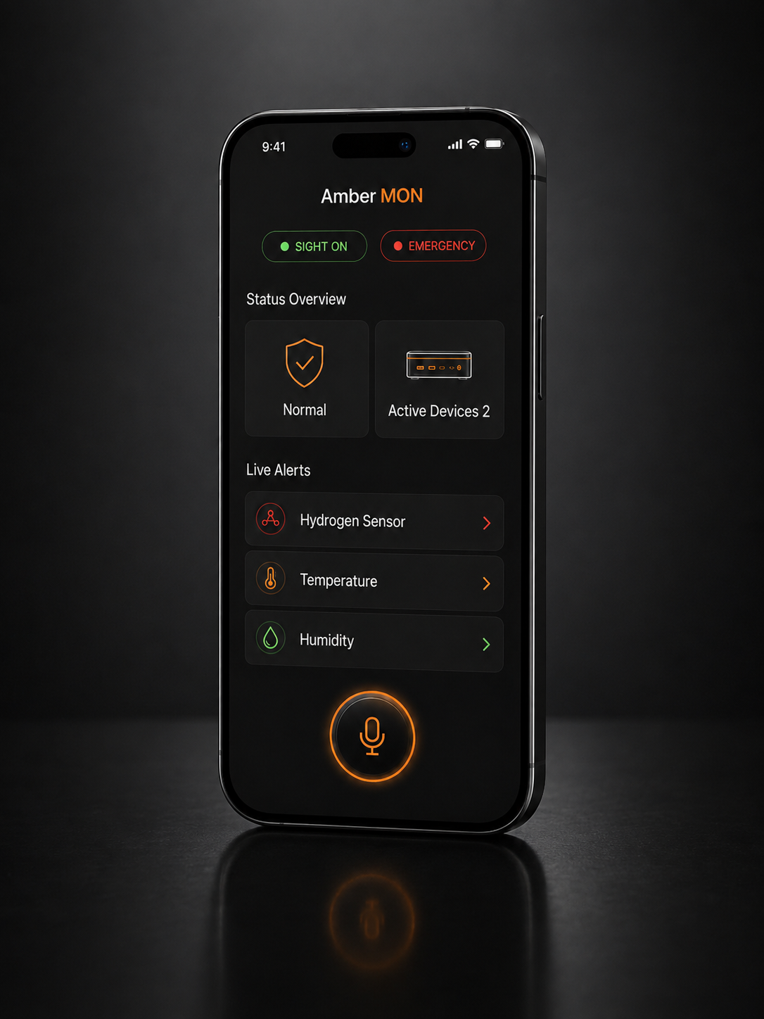 Amber MON English Mobile Observation Node interface