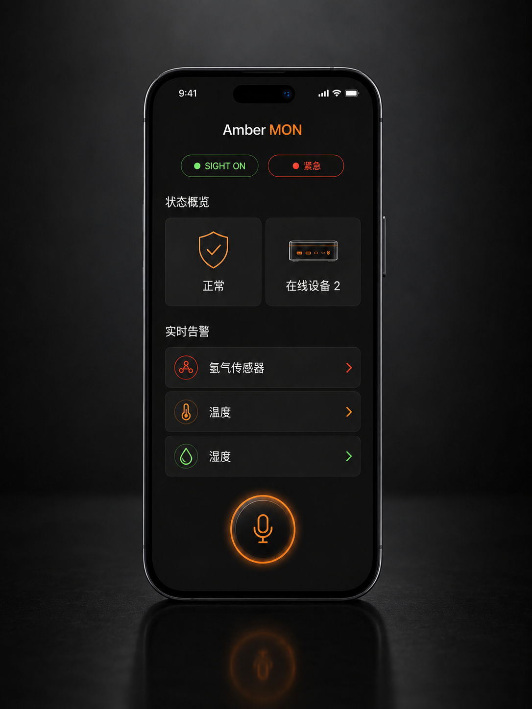 Amber MON 中文 Mobile Observation Node 界面